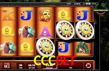 Apostas Esportivas na CCCBET: Um Guia Completo